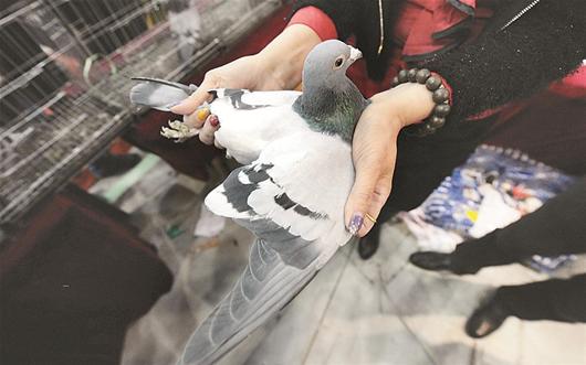 ͼΪ��չ������Ÿ롰������2�š�����38��