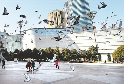 ͼΪ����չ�㳡�ŷ��Ÿ�