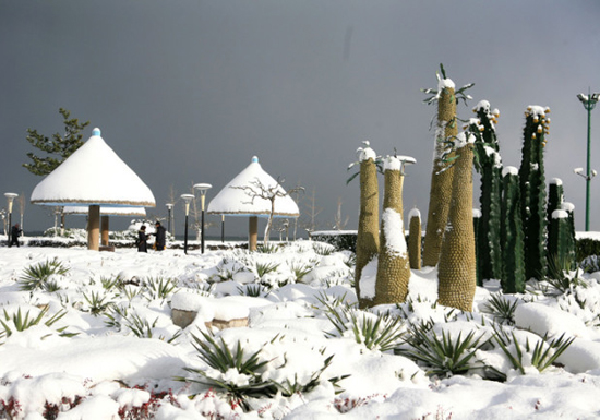 冬季到威海来看雪(图:山东省旅游局)
