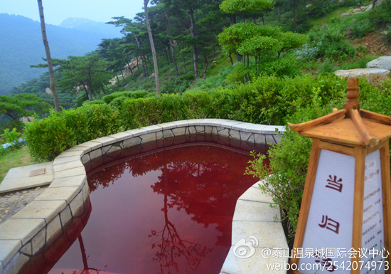 图:@泰山温泉城国际会议中心