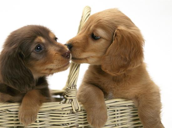 《睡前一起猜》第99期:答题赢天猫魔盒1s|睡前