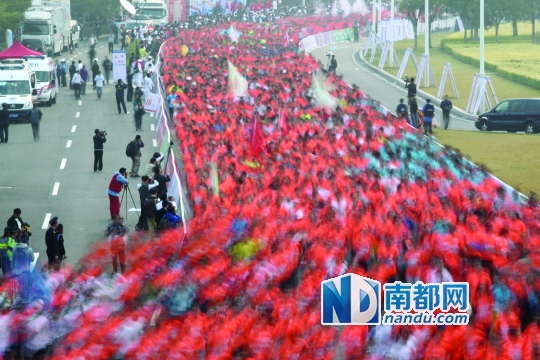 去年12月8日,深圳国际马拉松赛开跑,万名选手在深南大道上穿行。 资料图片