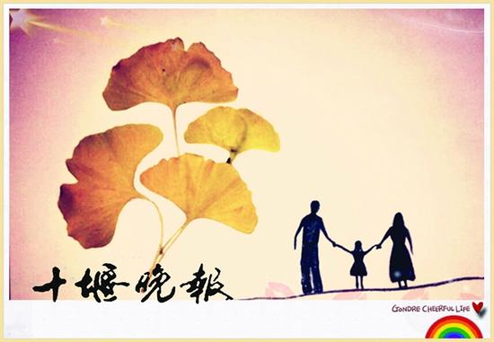 房县女孩孙艳捡鲜黄的银杏树叶做创意贴画晒上网络