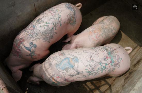 【NO.196每日新鲜事】马云一副墨宝被拍出46