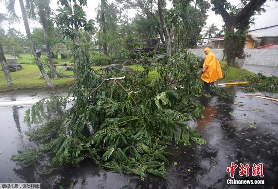 台风“哈格比”来袭