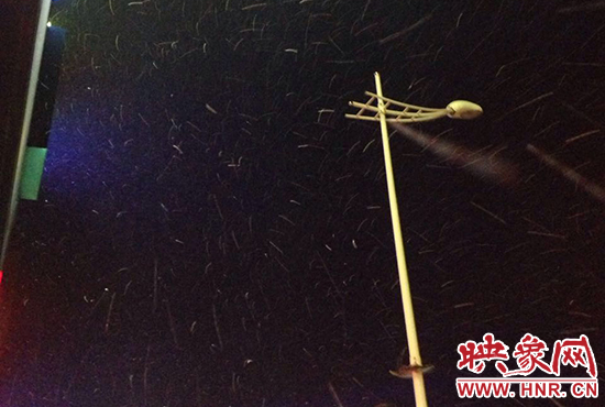 登封初雪如约而至 郑州未来几天阴天多云