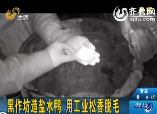 濟南查獲兩家鹽水鴨制造黑作坊，使用工業松香進行脫毛。（視頻截圖）
