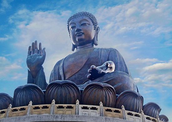 什么是专修和杂修