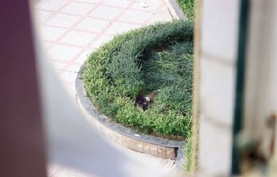 從樓上住戶家中看到墜亡女子躺在花壇中
