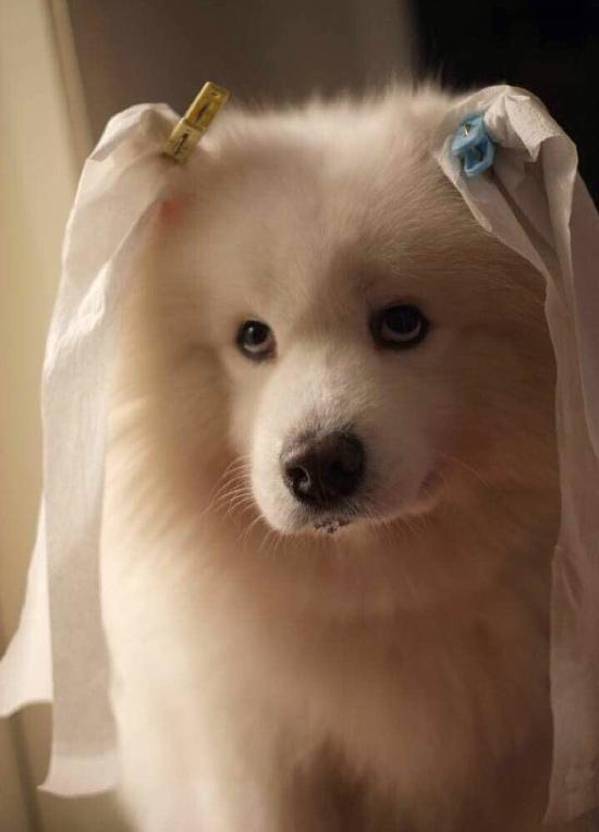 张馨予恶搞陈妍希秒删微博？回应:被曲解