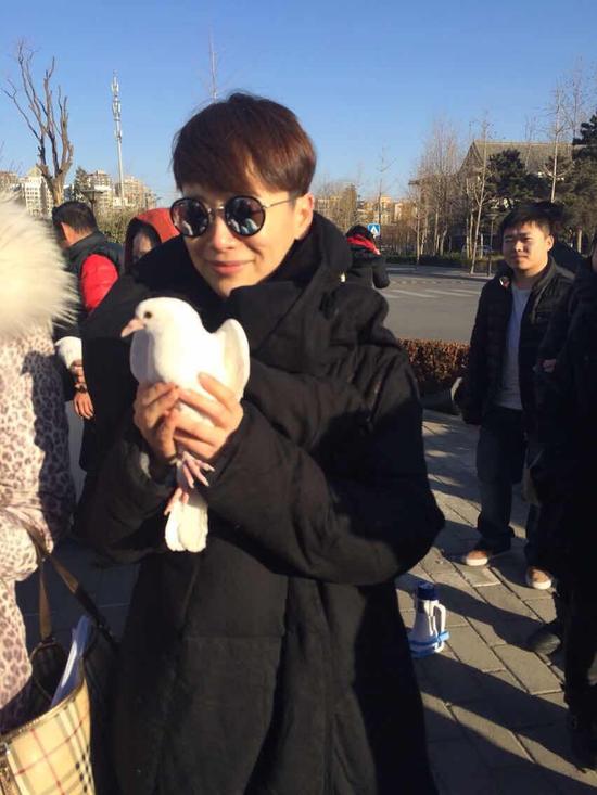 《大猫儿追爱记》开机 海清转型职场萌猫