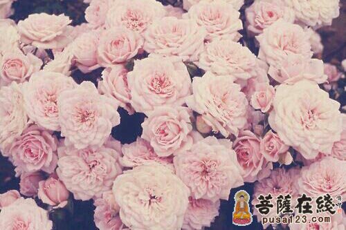 共业与别业是什么