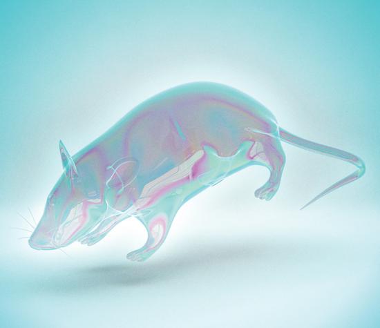 术:透明动物|革命性技术|透明动物|生物医学_科学探索