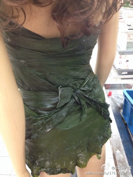美女海带精