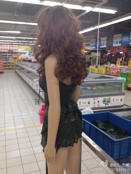 美女海带精