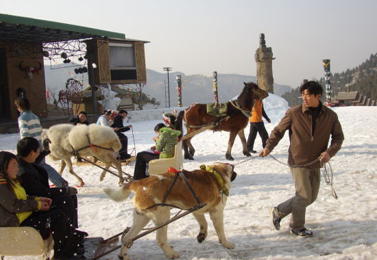 九顶塔滑雪场