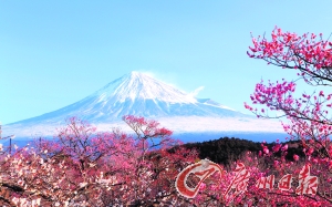 最难入籍国家:奥地利至少要住15年|美国国籍|奥