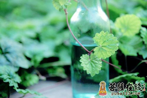 什么是戒四别