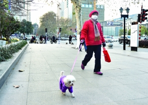 南京今晨气温仅-4℃ 冬至日数九寒天如期而至