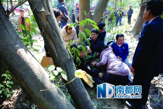 昨日上午,小金口柏岗村民张惠新被发现在惠州大道乌石段的小树林中上吊身亡,家属抱着老人遗体痛哭。南都记者陈伟斌 摄