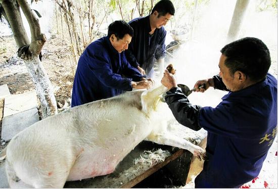 宜昌自驾入农家吃年猪宴渐火 旅行社推出一日