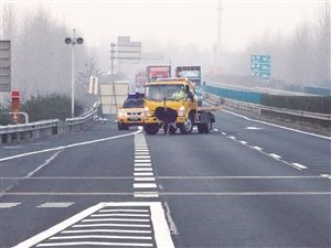 鸵鸟在道路上撒欢 通讯员供图