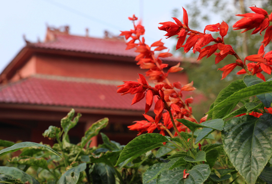 拔槊泉村