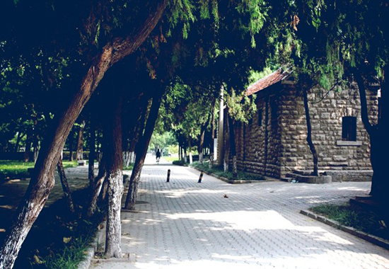 长柏路