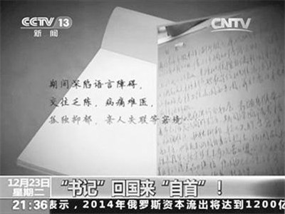 央视曝光王国强自首书