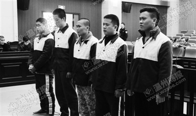 盗取支付宝案昨日龙湾开庭 团伙最高学历中专