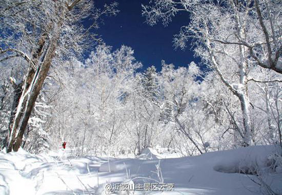 来蒙山洗肺赏雪(图:@沂蒙山主景区云蒙)