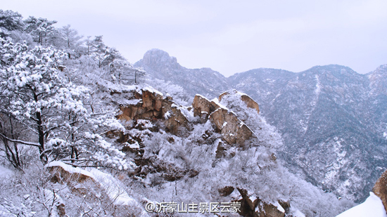 来蒙山洗肺赏雪(图：@沂蒙山主景区云蒙)