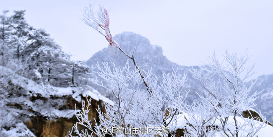 来蒙山洗肺赏雪(图：@沂蒙山主景区云蒙)