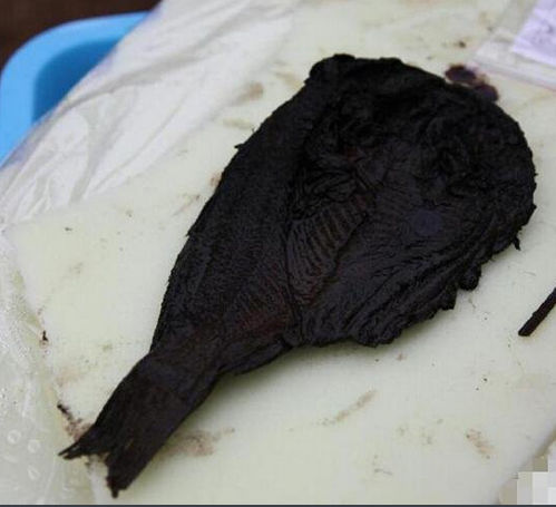 ������ǧ����ǰ������