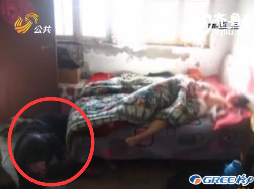 男子行兇后服毒自盡。（視頻截圖）