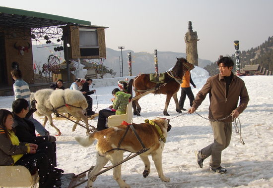 九顶塔滑雪场(图：@九顶塔景区)
