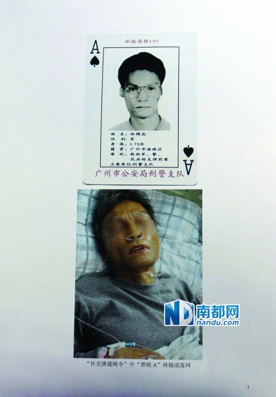 ←林锦成跳楼自杀受重伤,目前仍在重症病房。 警方供图
