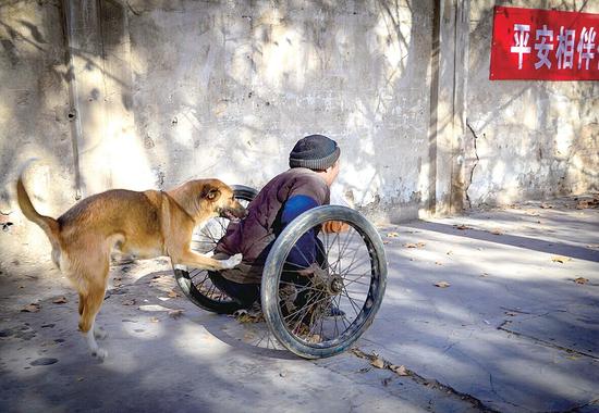 洛阳忠犬推修鞋匠上街摆摊 天冷还会给主人暖