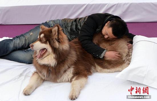 奇葩睡姿大賽
