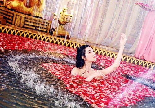 《武<em>媚娘</em>传奇》今晚复播热度不减 _新浪辽宁_