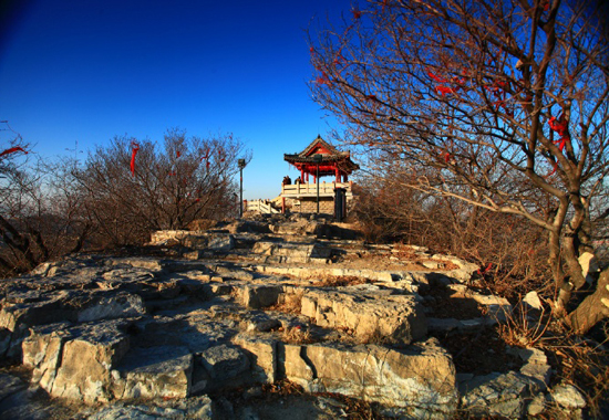 千佛山冬景(图:@几维cn)