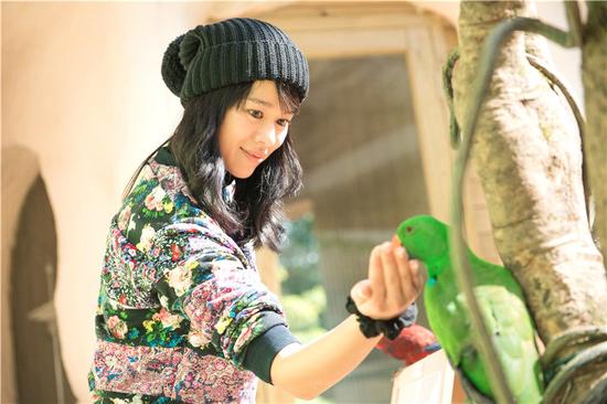 胡杏儿与湖卫携手 奇妙朋友或挑战喂老虎