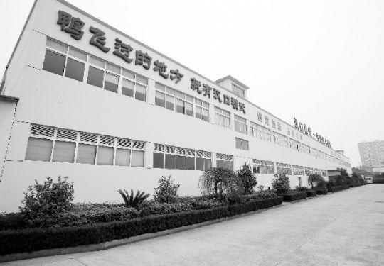 武汉人口多岁_武汉人口增长图(3)