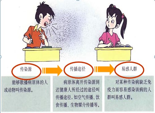 传染病的传播(漫画配图)