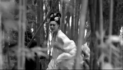 《武媚娘传奇》第25集骊山狩猎剧情中，“武媚娘”在竹林里躲追杀