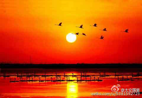 东营黄河口生态旅游区(图:@太空国旅)