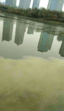 网友拍的如意湖