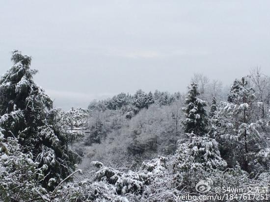 瑞雪兆丰年 四川多地迎来2015年第一场雪
