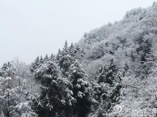 瑞雪兆丰年 四川多地迎来2015年第一场雪