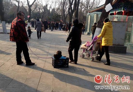 　　1月7日中午，革命公园，一个小孩被大人装在竹篮里用绳子拖着。当日西安气温较前一日犹如过山车般回升，户外温暖如春。